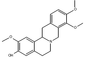 Corypalmine structure, CAS 6018-40-2