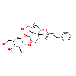 6-O-Cinnamoylcatalpol structure, CAS 136807-41-5