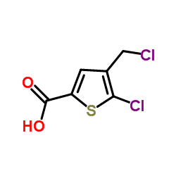 5-chloro-4-(chloromethyl)thiophene-2-carboxylicacid structure, CAS 1223748-49-9