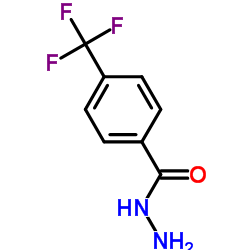 4-(Trifluoromethyl)benzhydrazide structure, CAS 339-59-3