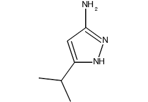 3-isopropyl-1H-pyrazol-5-amine structure, CAS 56367-24-9