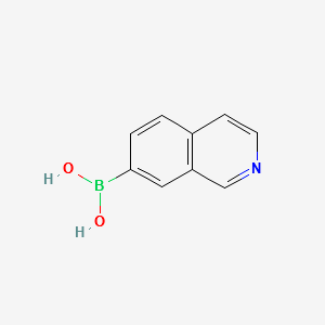 isoquinolin-7-yl-7-boronicacid structure, CAS 1092790-21-0