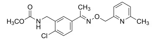 Methyl[[2-chloro-5-[(1E)-1-[[(6-methyl-2-pyridinyl)methoxy]imino]ethyl]phenyl]methyl]carbamate structure, CAS 799247-52-2