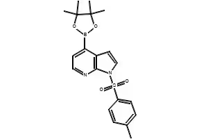 4-(4,4,5,5-tetramethyl-1,3,2-dioxaborolan-2-yl)-1-tosyl-1H-pyrrolo[2,3-b]pyridine structure, CAS 916176-50-6