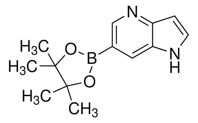 6-(4,4,5,5-tetramethyl-1,3,2-dioxaborolan-2-yl)-1H-pyrrolo[3,2-b]pyridine structure, CAS 1045855-91-1