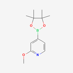 2-Methoxypyridine-4-boronicacid,pinacolester structure, CAS 408502-23-8