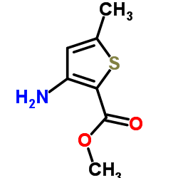 3-Amino-5-methyl-thiophene-2-carboxylicacidmethylester structure, CAS 76575-71-8