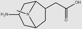 3-Amino-8-methyl-8-aza-bicyclo[3.2.1]octan-6-ylacetate structure, CAS 1245642-52-7