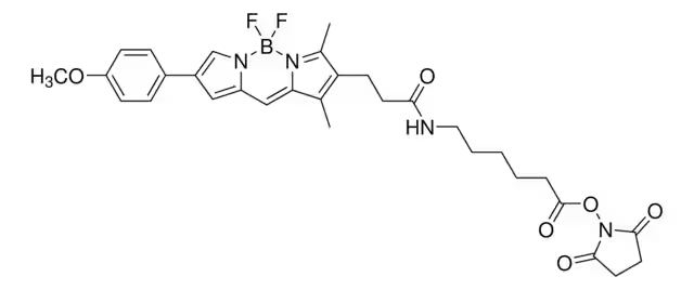 2-(2-ethyl-3-methoxyphenyl)-5,5-dimethyl-2,5-dihydrooxazole structure, CAS 1245648-23-0