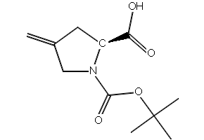 N-Boc-4-methylene-L-proline structure, CAS 84348-38-9