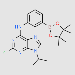 2-chloro-9-isopropyl-N-(3-(4,4,5,5-tetramethyl-1,3,2-dioxaborolan-2-yl)phenyl)-9H-purin-6-amine structure, CAS 1056016-03-5