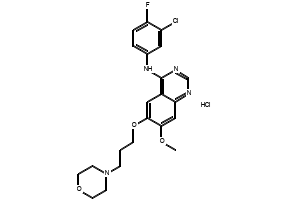 N-(3-chloro-4-fluorophenyl)-7-(3-morpholinopropoxy)-6-nitroquinazolin-4-amine structure, CAS 267243-64-1