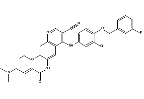 (E)-N-(4-(3-chloro-4-fluorophenylamino)-3-cyano-7-ethoxyquinolin-6-yl)-4-(dimethylamino)but-2-enamide structure, CAS 326894-84-2