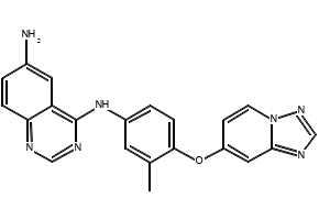 N4-(3-Bromophenyl)quinazoline-4,6-diamine structure, CAS 169205-78-1