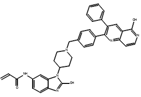 4-Hydroxy-[1,6]naphthyridine-3-carboxylicacid structure, CAS 5391-50-4
