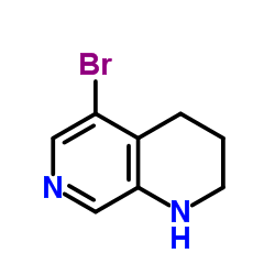 5-bromo-1,2,3,4-tetrahydro-1,7-naphthyridine structure, CAS 351457-97-1