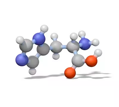 17Aminoacidpeptide structure, CAS 170713-75-4