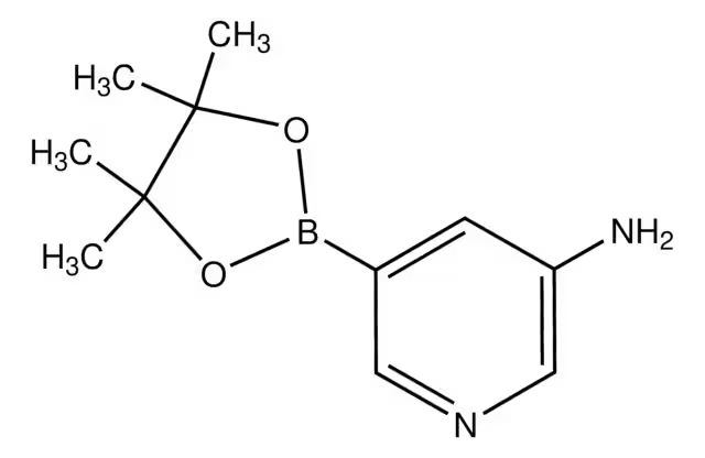 5-(4,4,5,5-Tetramethyl-[1,3,2]dioxaborolan-2-yl)-pyridin-3-ylamine structure, CAS 1073354-99-0