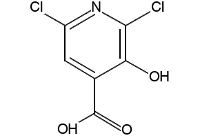 2,6-Dichloro-3-hydroxyisonicotinicacid structure, CAS 185422-96-2