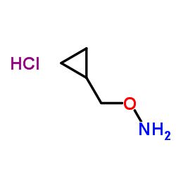 Cyclopropylmethoxylaminehydrochloride structure, CAS 74124-04-2