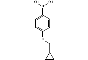 4-(Cyclopropylmethoxy)phemylboronicacid structure, CAS 411229-67-9