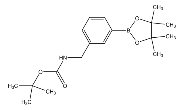 [3-(4,4,5,5-Tetramethyl-1,3,2-dioxaborolan-2-yl)benzyl]carbamicacidtert-butylester structure, CAS 832114-05-3