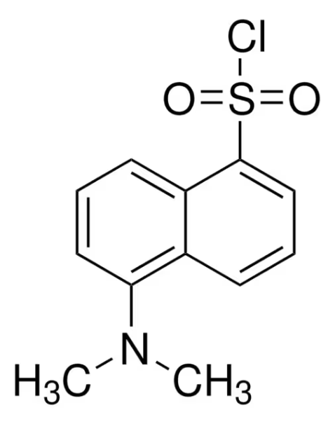 5-Dimethylaminonaphthalene-1-sulfonylaziridine structure, CAS 51908-46-4